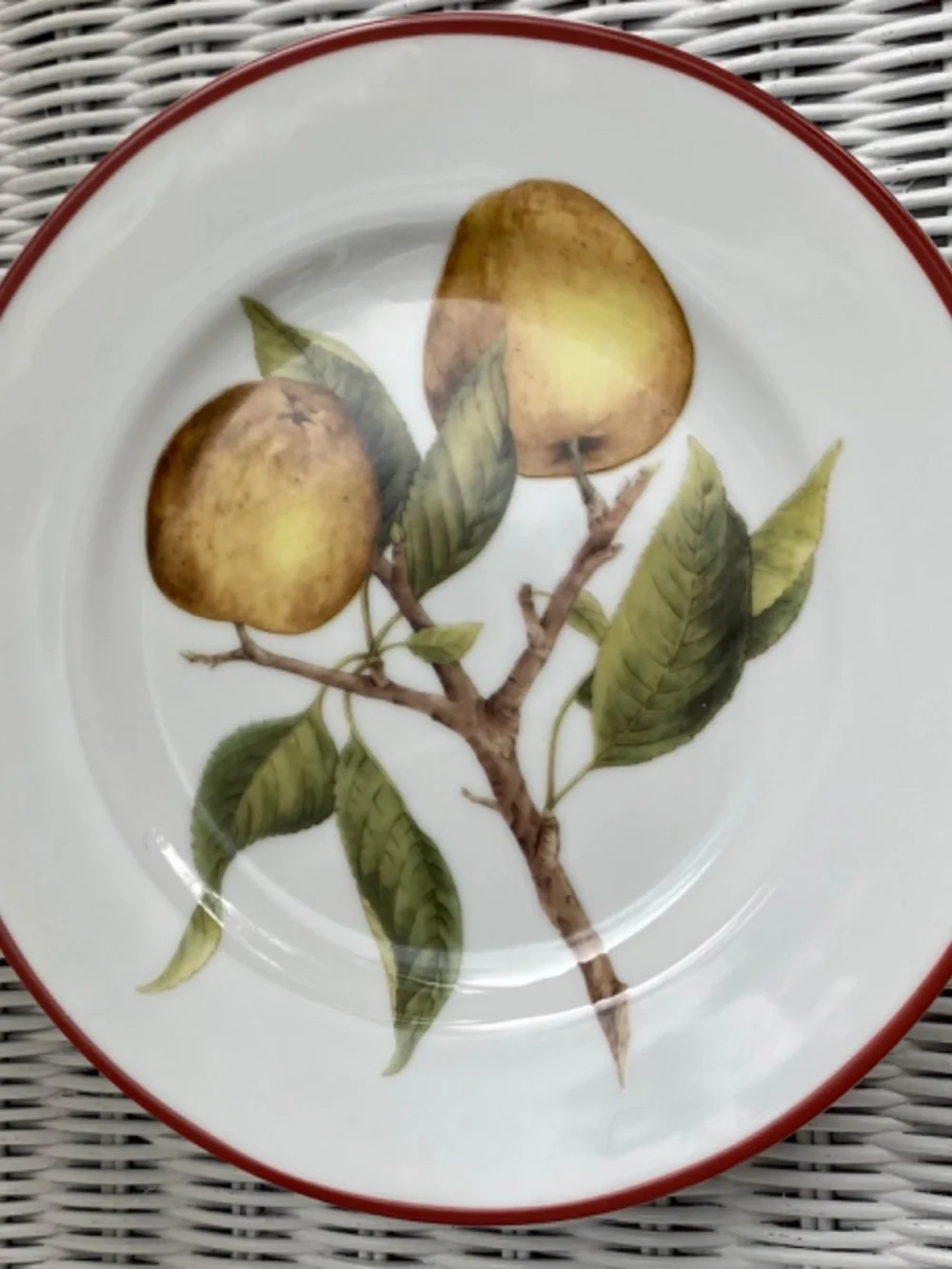 Williams-Sonoma Ceramic Plates. Fruit Designs on Salad, Fruit, Dessert Dishes